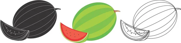 Wassermelone Frucht Design Illustration Vektor — Stockvektor