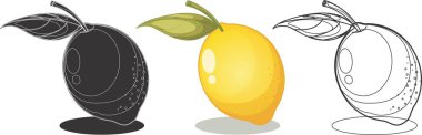 Limon tasarımı illüstrasyon Vektörü