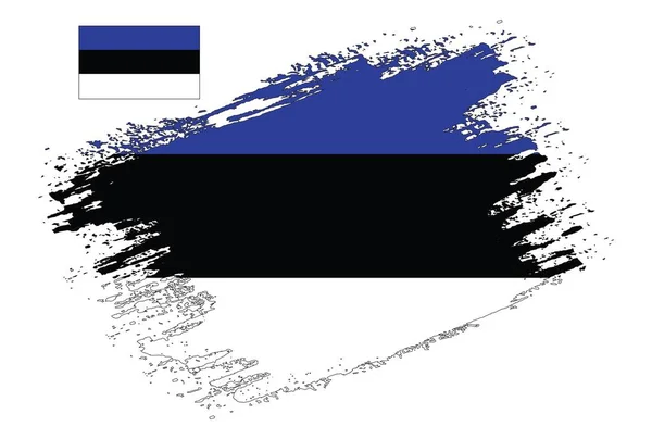 Brush Design Észtország Zászlóvivő — Stock Vector