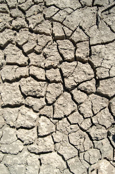 Tierra Seca Agrietada Pantano Sequia Textura — Stockfoto