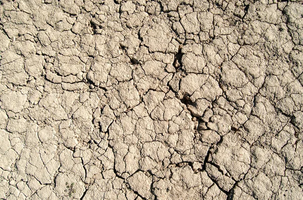 Tierra Seca Agrietada Pantano Sequia Textura — Stockfoto
