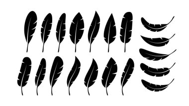 Bird Feather. Quill feather silhouette icon. Vector stock illustration.