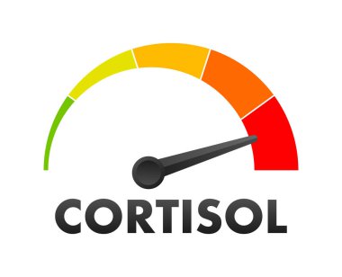 Kortizol Seviye Ölçeği, Ölçüm Ölçeği. Kortizol seviyesi hız göstergesi. Vektör illüstrasyonu