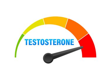 Testosteron Seviye Ölçer, Ölçüm Ölçeği. Hormon testosteron hız göstergesi. Vektör illüstrasyonu