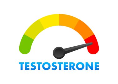 Testosteron Seviye Ölçer, Ölçüm Ölçeği. Hormon testosteron hız göstergesi. Vektör illüstrasyonu