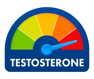 Testosteron seviyesi ölçeği. Takometreyi, hız göstergesini, göstergeleri imzala. hisse illüstrasyonu
