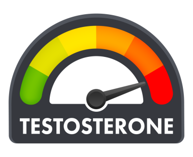 Testosteron seviyesi ölçeği. Takometreyi, hız göstergesini, göstergeleri imzala. hisse illüstrasyonu