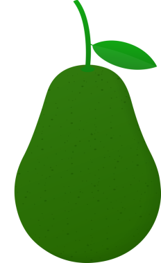 Taze meyve avokadosu. Gerçekçi avokado çizimi. Avokadoyu tamamen kes.