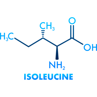 Isoleucine amino asit. Kimyasal moleküler formül. resimleme