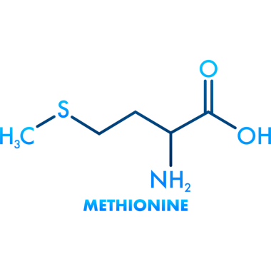 Metiyonin formüllü ikon. Amino asit molekülü.