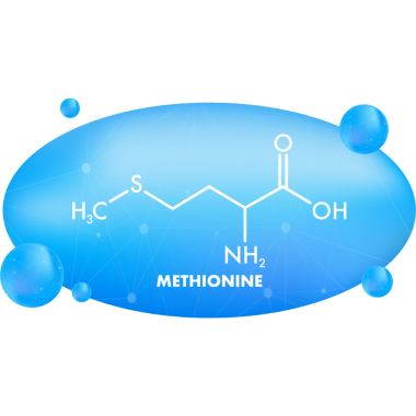 Metiyonin formüllü ikon. Amino asit molekülü.