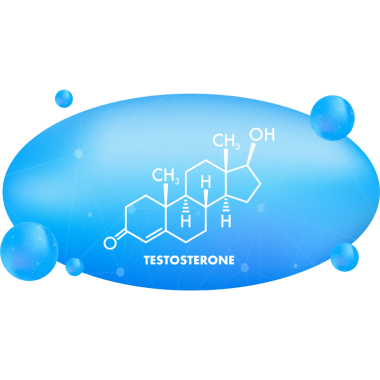 Testosteron formülü. Testosteron moleküler yapısının ince çizgi simgesi.