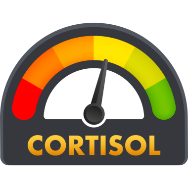 Flat cortisol level for medical design. Flat  illustration. High blood glucose level.