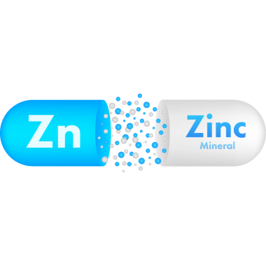 Zn, çinko sağlık hizmetleri tasarımı için. Vitamin kompleksi. Sağlık sigortası konsepti. Yemek konsepti. Organik gıda ikonu. hisse illüstrasyonu