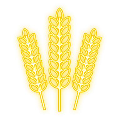 Tarım Buğday Logosu Şablonu, Buğday Kulakları. hisse illüstrasyonu.