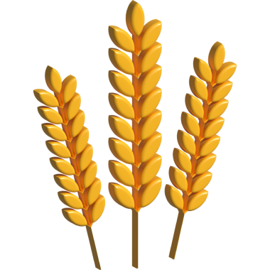 Beyaz arka planda izole edilmiş gerçek buğday, yulaf ya da arpa sürüsü. 3d hisse illüstrasyonu.