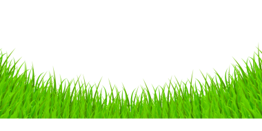 Yeşil Çim Elementleri Şeffaf Arkaplanda. Stok İllüstrasyonu