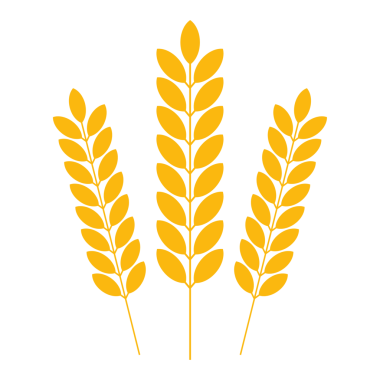 Tarım Buğday Logosu Şablonu, Buğday Kulakları. hisse illüstrasyonu