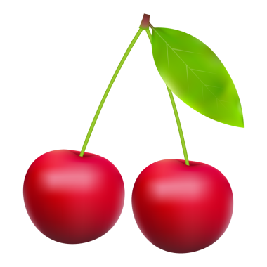 Yapraklı olgun kırmızı kiraz meyveleri. hisse illüstrasyonu