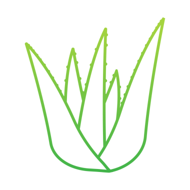 Gerçekçi aloe vera bitkisi. Doğal organik ürün etiketi. hisse illüstrasyonu