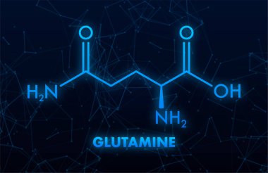 Glutamin molekülünün yapısal kimyasal formülü ağlı koyu mavi arka planda parlıyor.