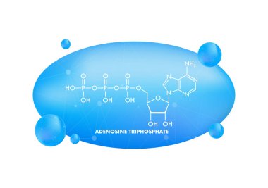 Adenosine triphosphate molecule structure floating on a blue scientific background, representing energy and cellular processes clipart