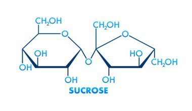 Sucrose molecule consisting of glucose and fructose forming glycosidic bond, table sugar, vector illustration clipart