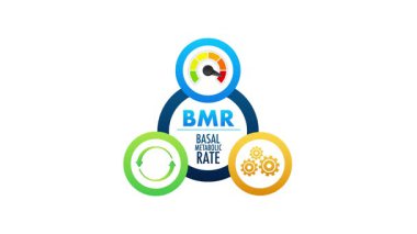 Beyaz ve yeşil ekran arkaplanlarında gösterge, tazeleme sembolü ve vitesli Animasyon Bazal Metabolik Hızlandırma simgesi