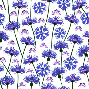 Kusursuz çiçek deseni-109. Vahşi çiçekli bahçe, beyaz arka plan.