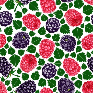 Kusursuz çiçek desenli 202. Orman meyveleri, ahududu ve böğürtlen, yeşil yapraklar.