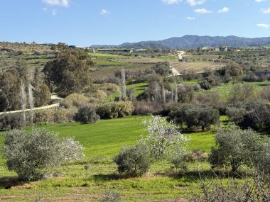 Bereketli yeşil manzaranın manzarası. Bahar zamanı, dağlık bölgenin güzel manzarası..