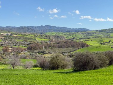 Bereketli yeşil manzaranın manzarası. Bahar zamanı, dağlık bölgenin güzel manzarası..