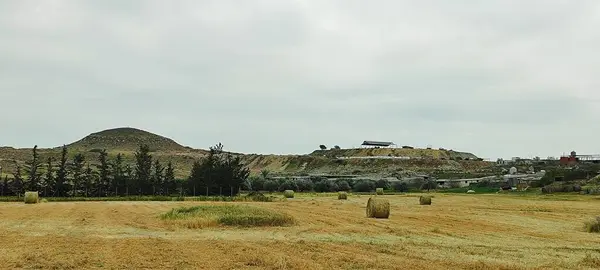 Yeşil bir alanda saman balyalarının manzarası. Otçullar için yiyecek.