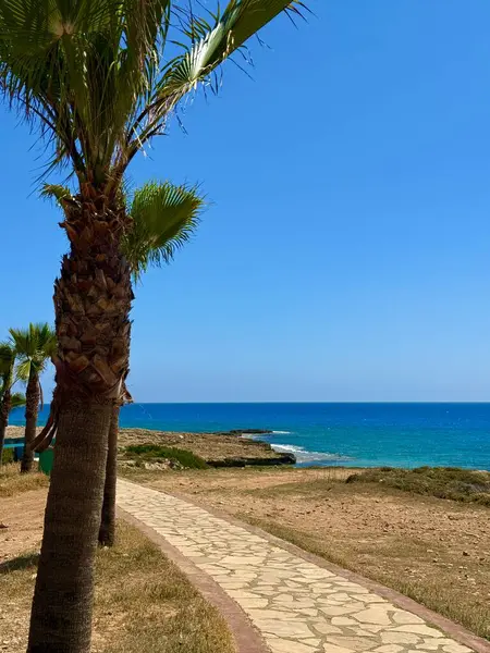 Resimli plaj, kumlu kıyıya vuran dalgalar. Deniz dalgaları kayalara çarpıyor. Kıbrıs Adası, Akdeniz.