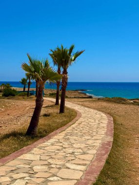 Resimli plaj, kumlu kıyıya vuran dalgalar. Deniz dalgaları kayalara çarpıyor. Kıbrıs Adası, Akdeniz.
