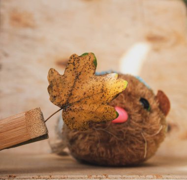 Tahta bir masada sonbahar yaprakları