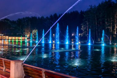 Sırbistan 'da fıskiyeli ve arka planında ağaçlar olan Zlatibor göletinin resimli gece sahnesi