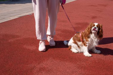 Kadın ve Cavalier Nazik Charles Bir yürüyüş sırasında ekose bir yolda duruyor