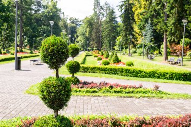 Yazın yemyeşil çiçekleri, ağaçları ve çalıları olan halka açık bir park.