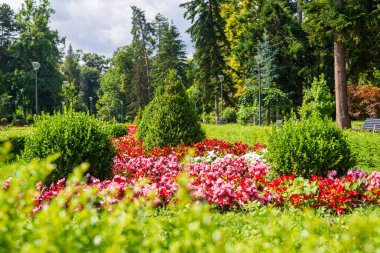 Yazın yemyeşil çiçekleri, ağaçları ve çalıları olan halka açık bir park. Detaylar.