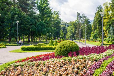 Yazın yemyeşil çiçekleri, ağaçları ve çalıları olan halka açık bir park.