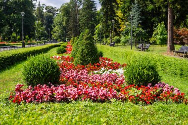 Yazın yemyeşil çiçekleri, ağaçları ve çalıları olan halka açık bir park.