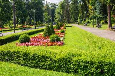 Yazın yemyeşil çiçekleri, bitkileri, otları, ağaçları ve çalıları olan halka açık bir park.