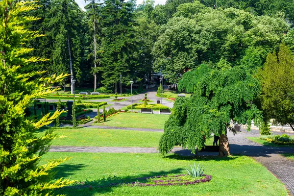 Yazın verimli ağaçlar, çimenler ve çalılarla dolu halka açık park - Vrnjacka Banja, Sırbistan