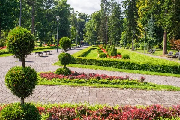 Yazın yemyeşil çiçekleri, ağaçları ve çalıları olan halka açık bir park.