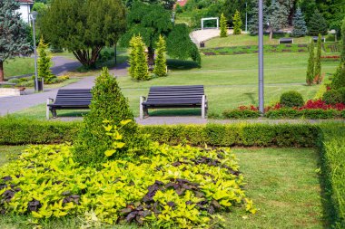 Yazın yemyeşil bitkiler, ağaçlar ve çalılarla dolu bir parkta bankta.