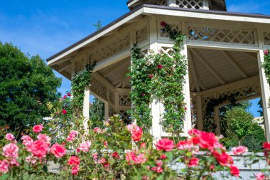 Zarif çardak yazın yemyeşil çiçeklerle çevrili.