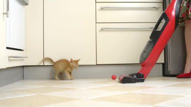 Sarı kedi yerde oynuyor, süpürmeye çalışan bir kadının yoluna çıkıyor.