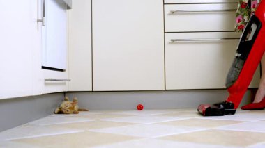 Sarı kedi yerde oynuyor, süpürmeye çalışan bir kadının yoluna çıkıyor.