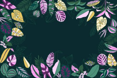 El çizimi tropikal yapraklar arka plan vektör tasarımı çizimi